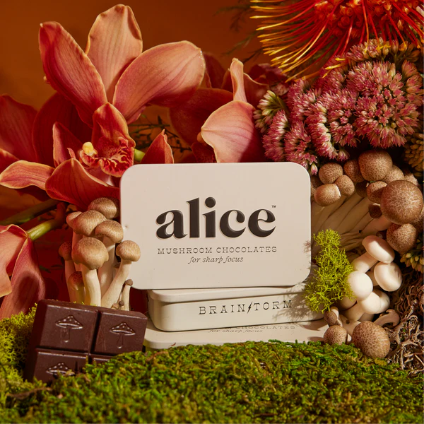 alice mushroom chocolate​