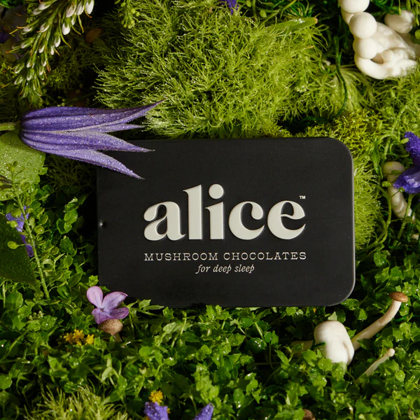 alice chocolate mushrooms